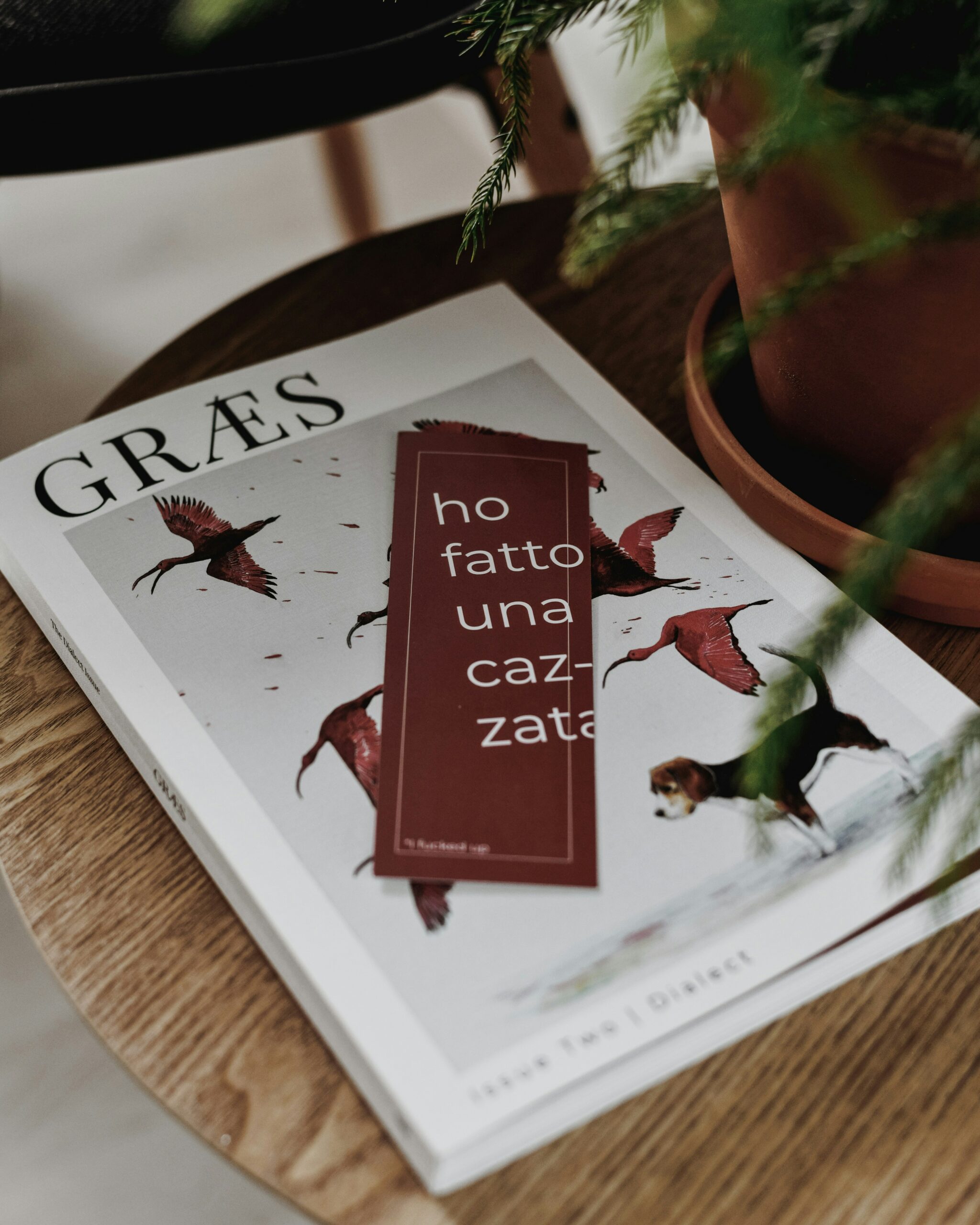 Foto di GRÆS Magazine su Unsplash